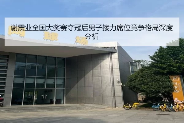 谢震业全国大奖赛夺冠后男子接力席位竞争格局深度分析
